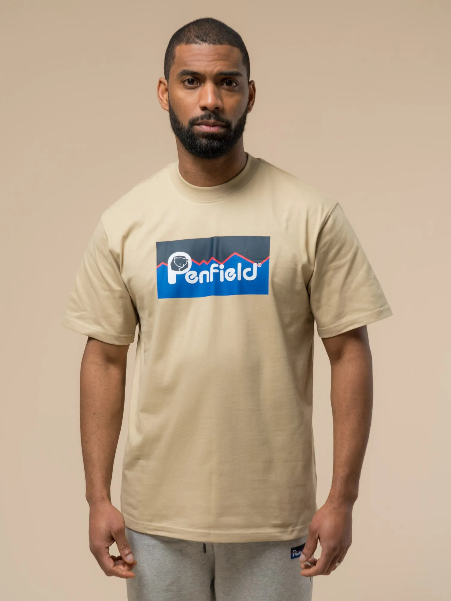 Original Large Logo T-Shirt in Fields Of Rye sold by Penfield product image thumbnail 2