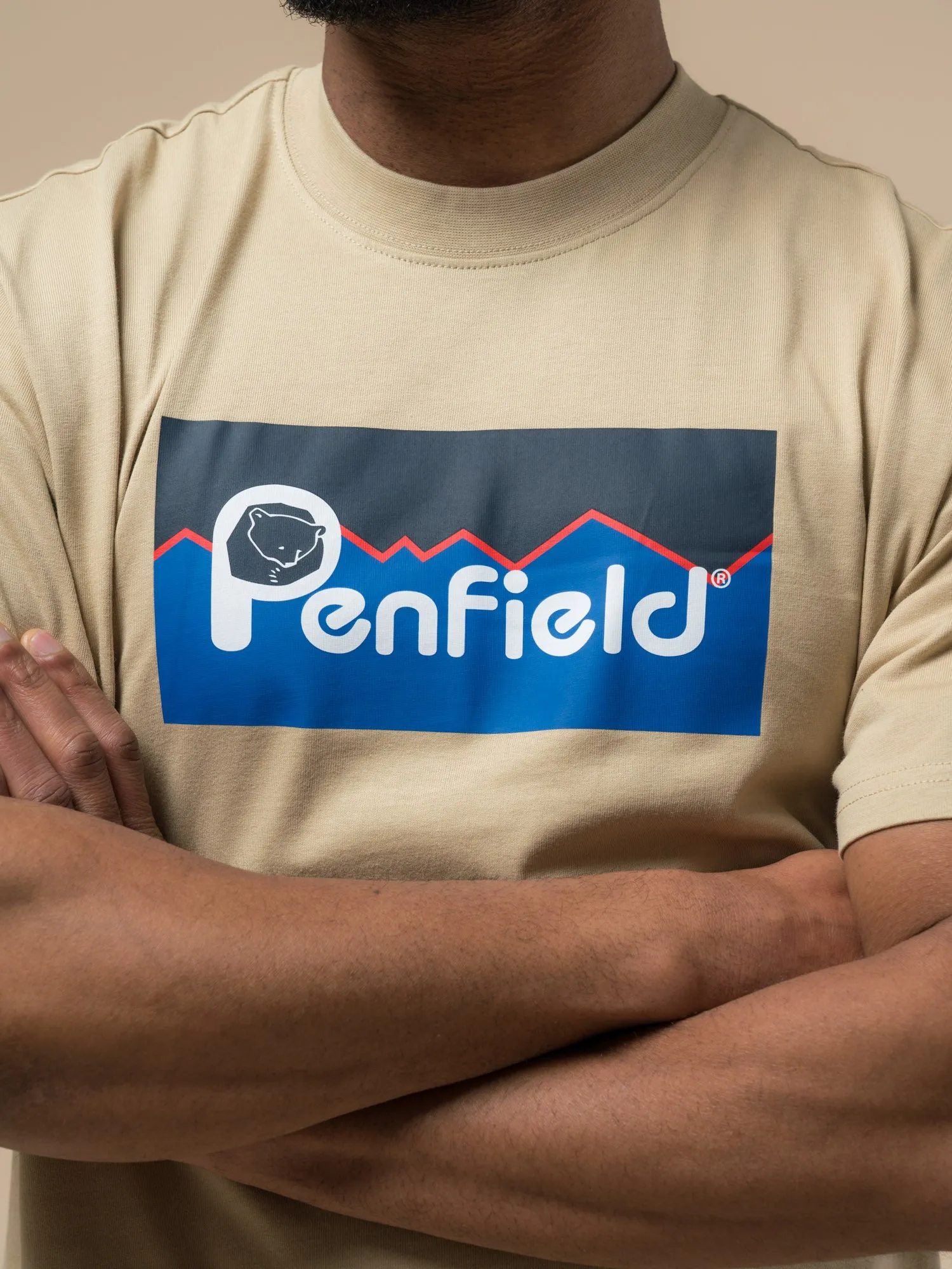 Original Large Logo T-Shirt in Fields Of Rye sold by Penfield product image thumbnail 5