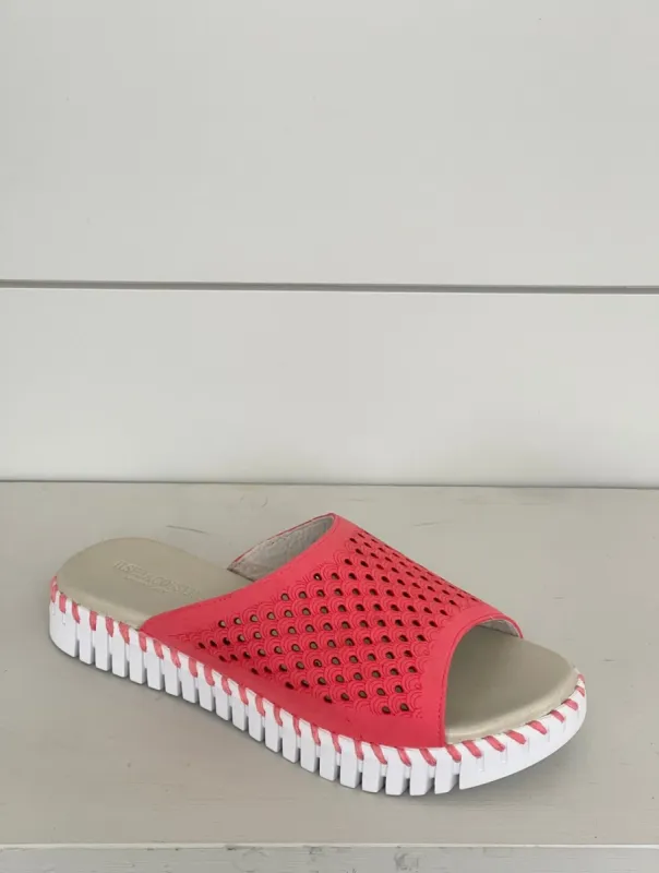 ILSE JACOBSEN - Sandale Tulip1375 sold by Pepin