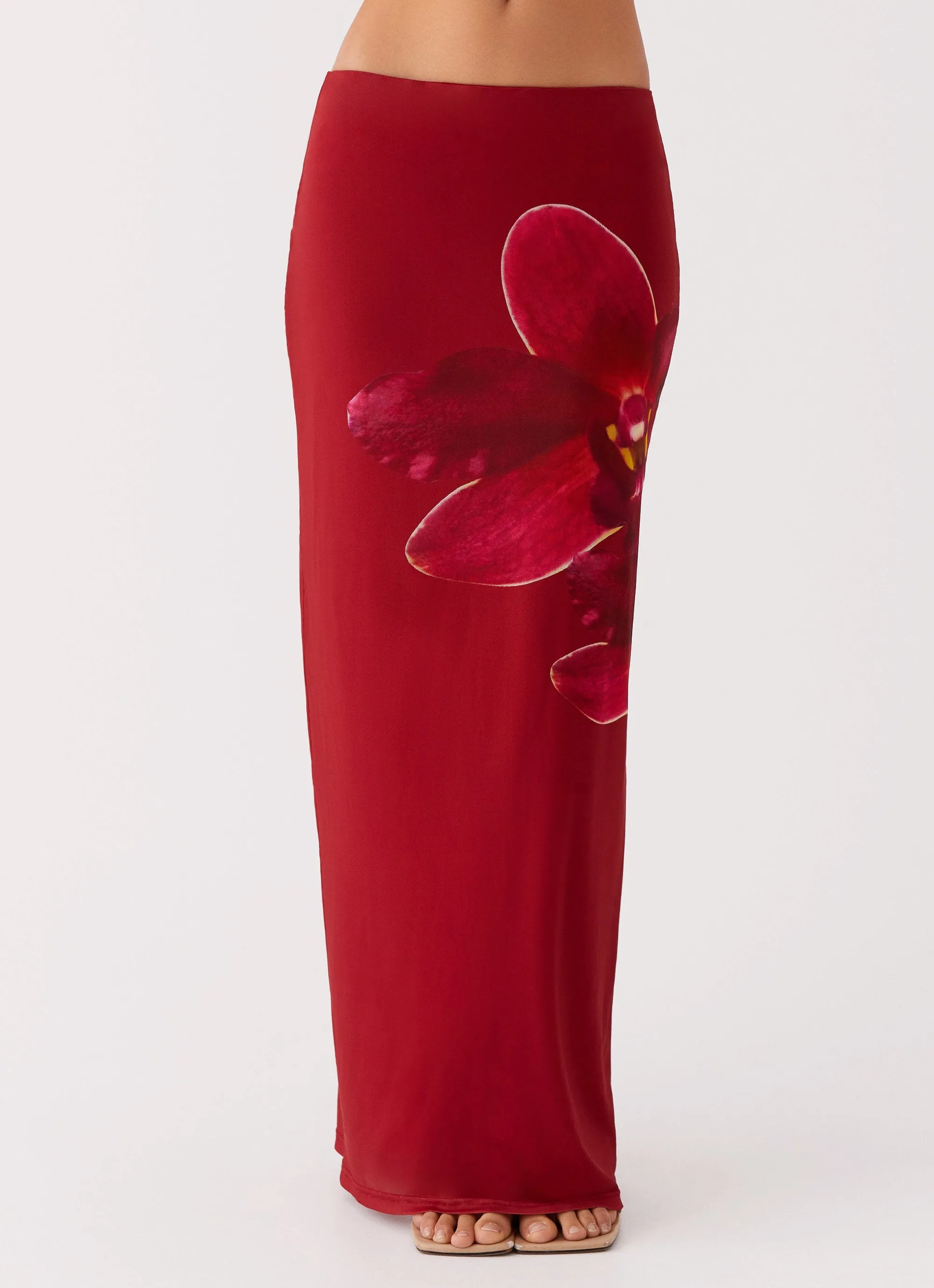 Waiting For Dawn Mesh Maxi Skirt - Rosa sold by Peppermayo product image thumbnail 5