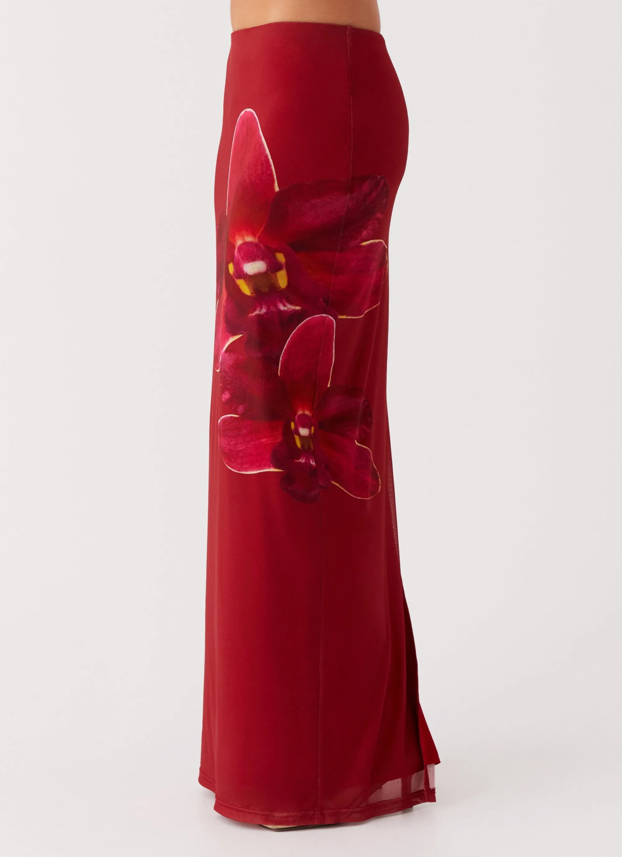 Waiting For Dawn Mesh Maxi Skirt - Rosa sold by Peppermayo product image thumbnail 3