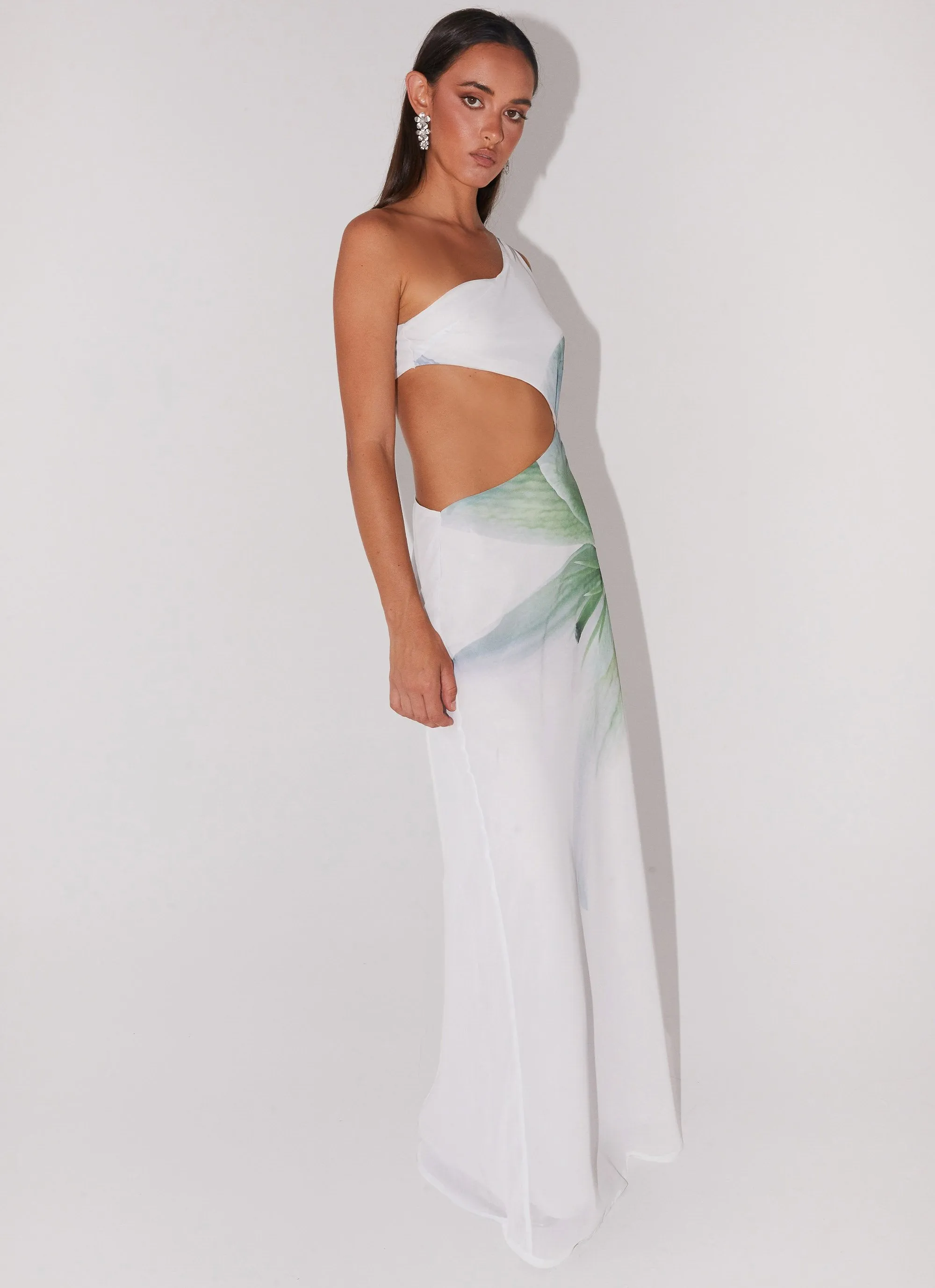 Palomino Palms Maxi Dress - Dahlia Ash sold by Peppermayo product image thumbnail 4