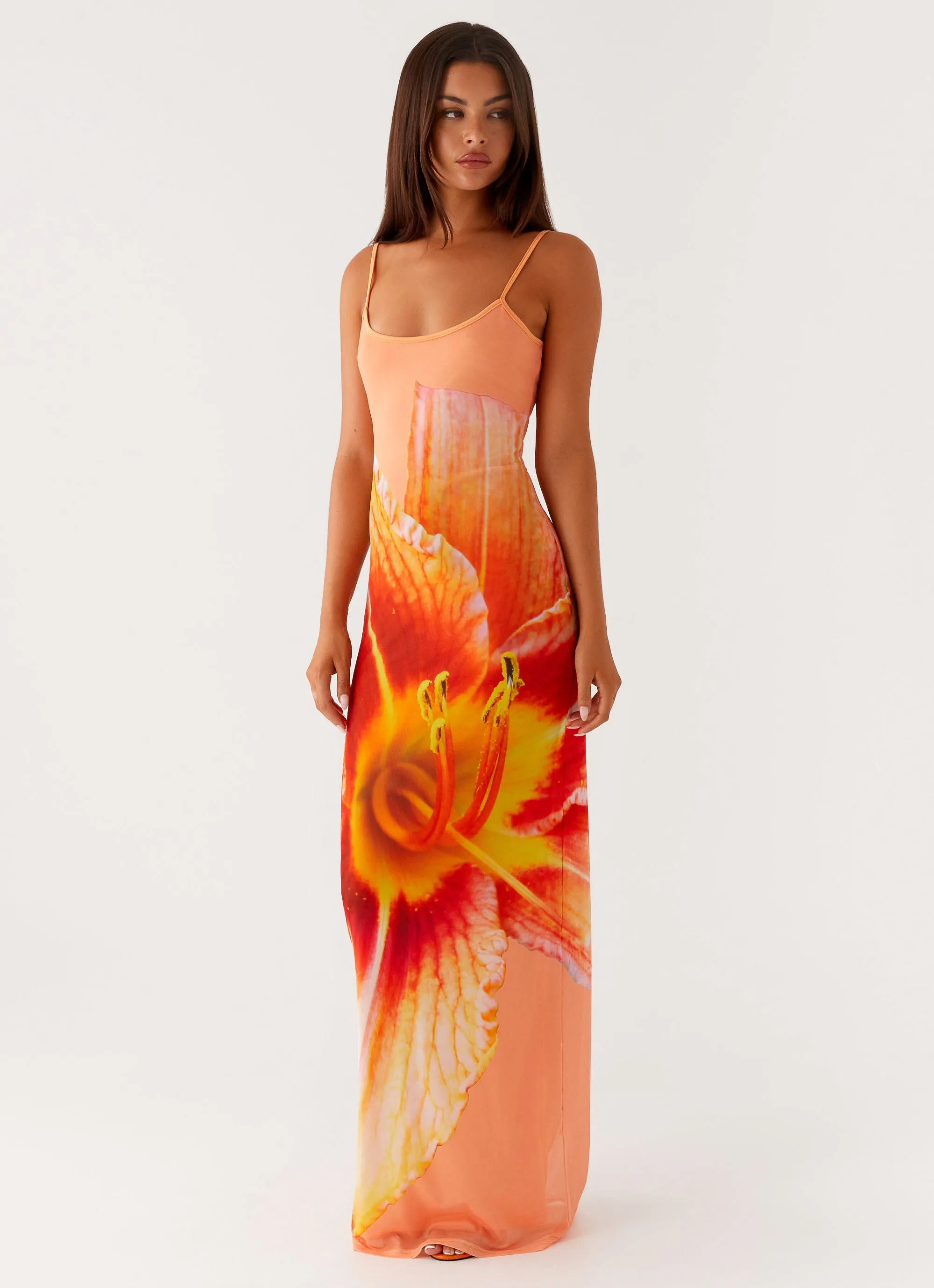 Bad News Mesh Maxi Dress - Orange Floral sold by Peppermayo product image thumbnail 5