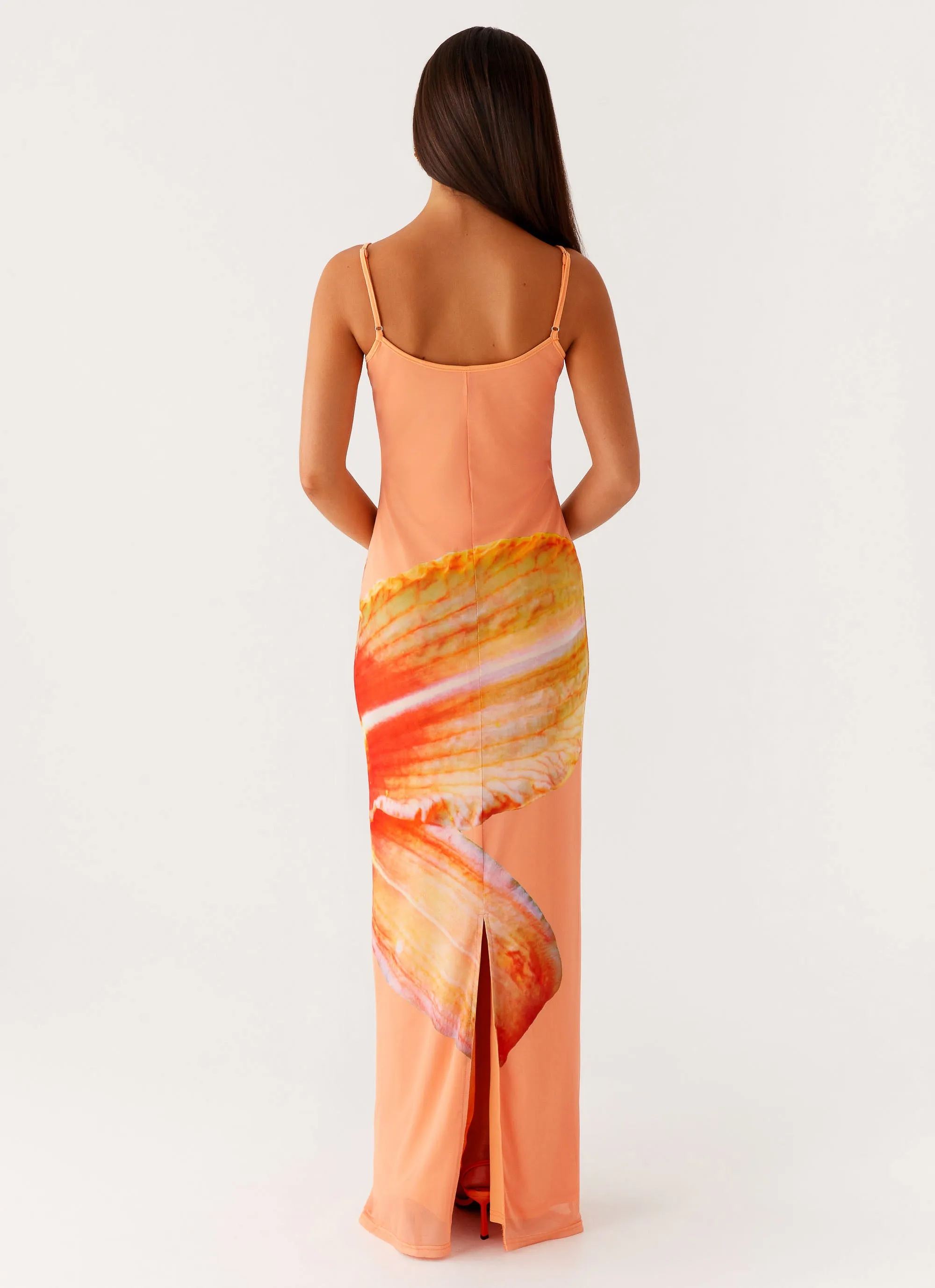 Bad News Mesh Maxi Dress - Orange Floral sold by Peppermayo product image thumbnail 4