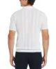 Mesh Stripe Sweater Polo sold by Perry Ellis