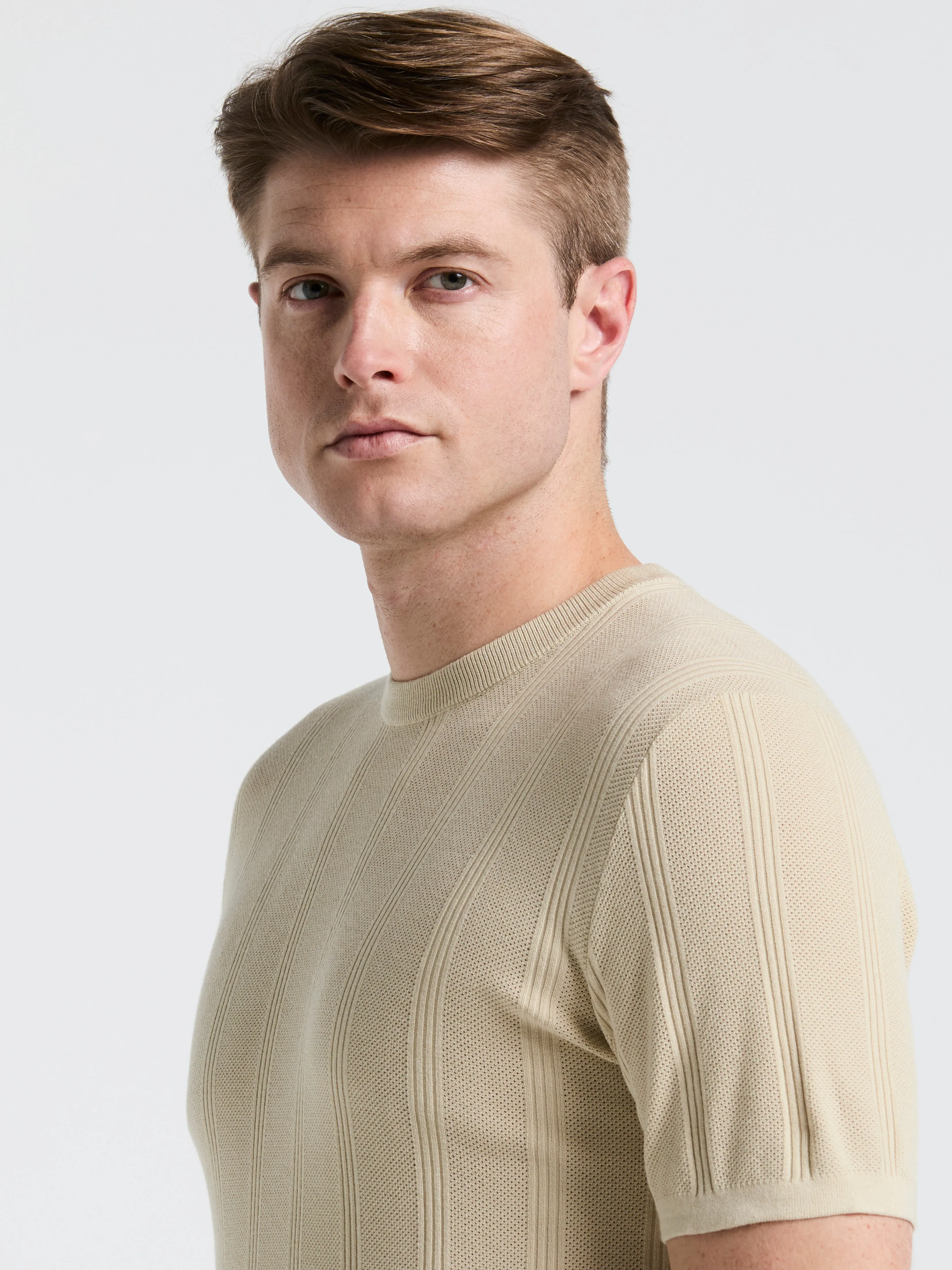 Tech Knit Striped Crew Neck Shirt sold by Perry Ellis product image thumbnail 3