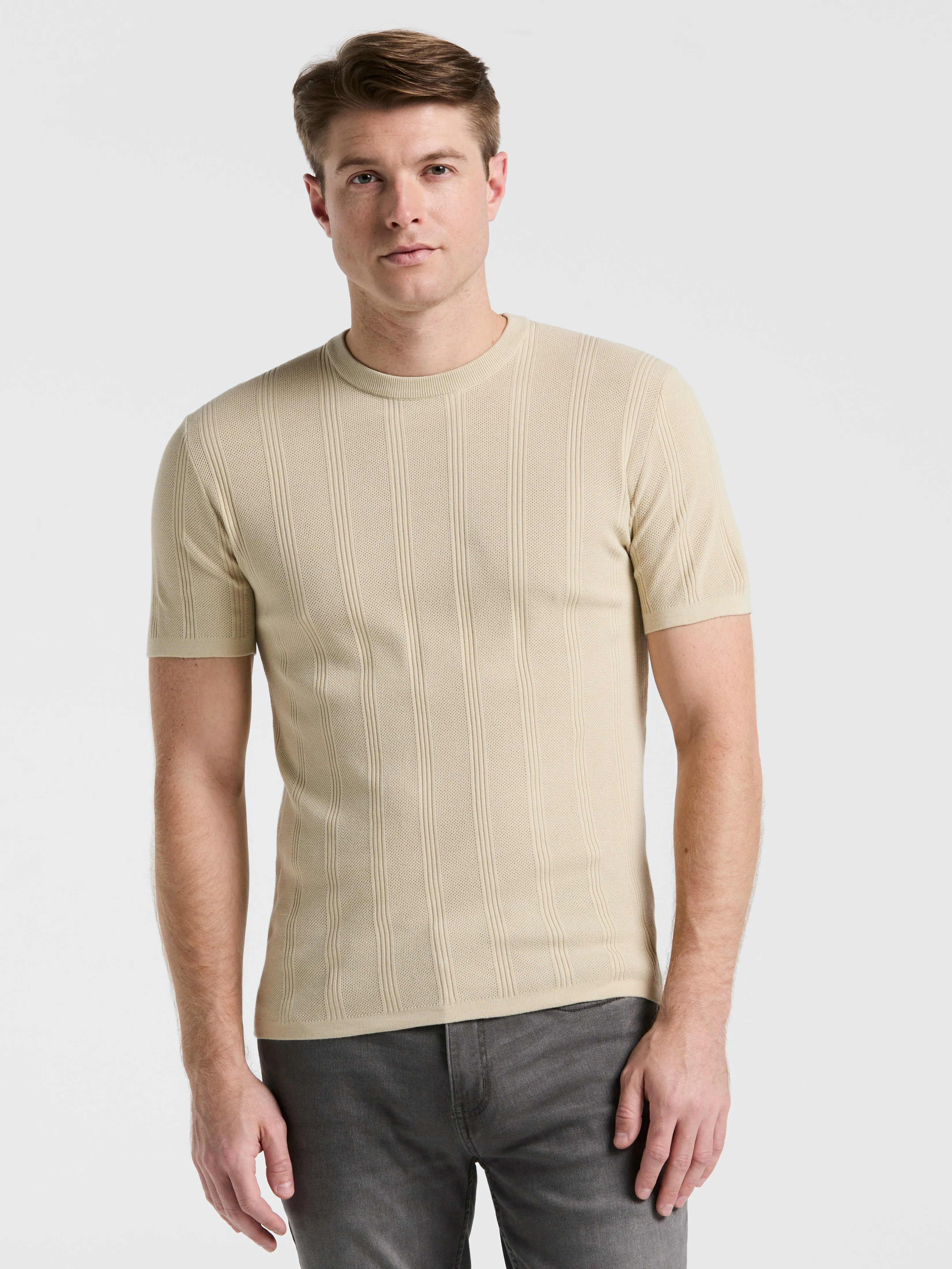 Tech Knit Striped Crew Neck Shirt sold by Perry Ellis