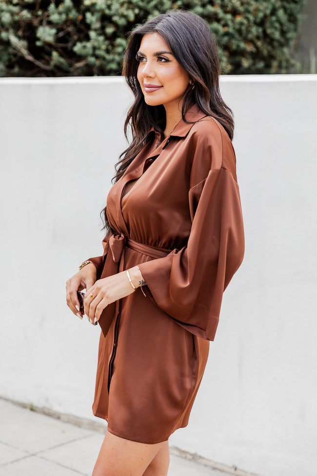Stay With Me Brown Collared Button Up Satin Mini Dress FINAL SALE sold by Pink Lily product image thumbnail 4