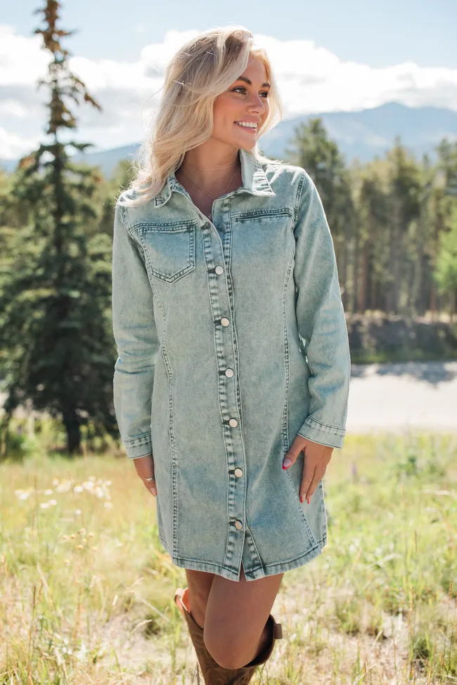 A Dream Of Mine Olive Denim A-Line Dress SALE sold by Pink Lily product image thumbnail 3