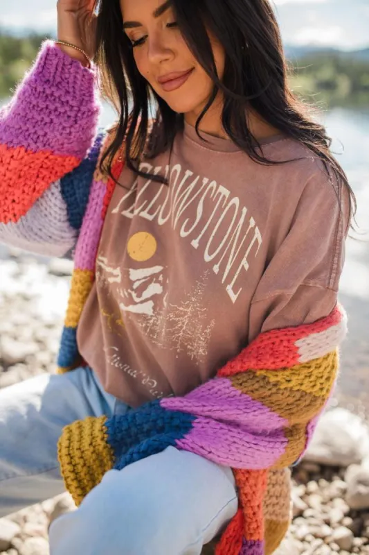 Yellowstone Chestnut Oversized Graphic Tee DOORBUSTER sold by Pink Lily