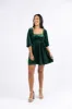 Evergreen Beauty Velvet Dress Macy Blackwell X Pink Lily sold by Pink Lily