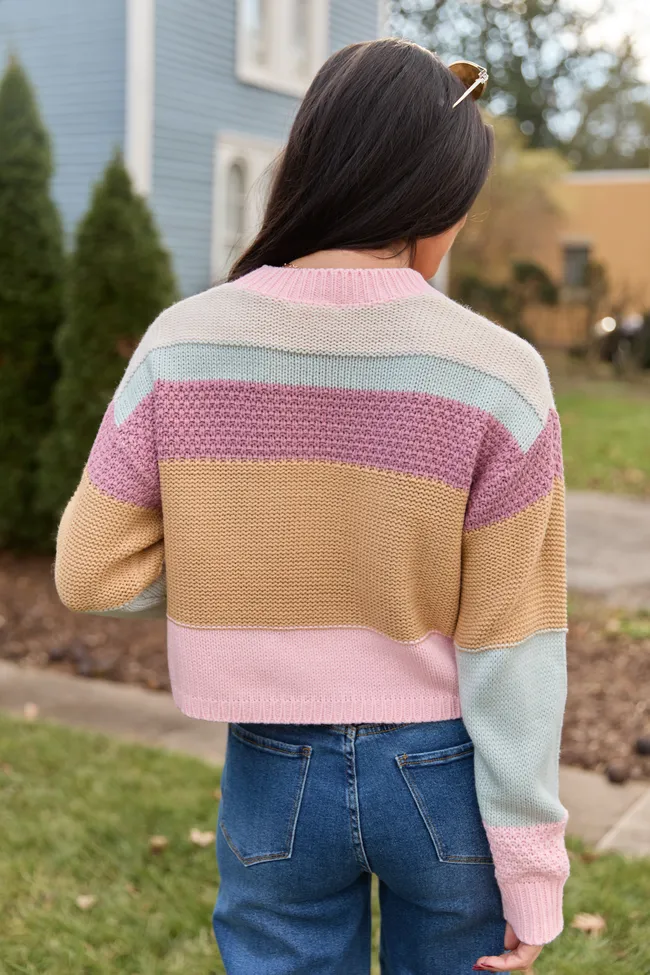 Greta Colorblock Multi Knit Crewneck Sweater FINAL SALE sold by Pink Lily product image thumbnail 5