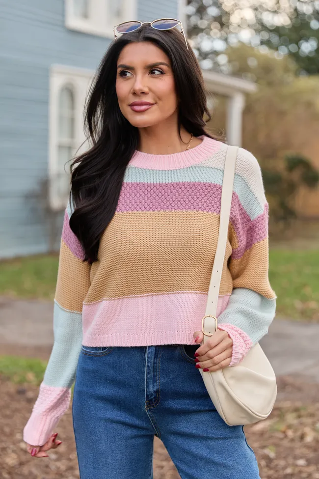 Greta Colorblock Multi Knit Crewneck Sweater FINAL SALE sold by Pink Lily product image thumbnail 3