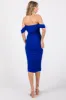 Royal Off Shoulder Sleeveless Ruched Mesh Midi Dress sold by Pinkblush