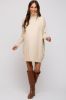 Beige Turtleneck Maternity Sweater Mini Dress sold by Pinkblush