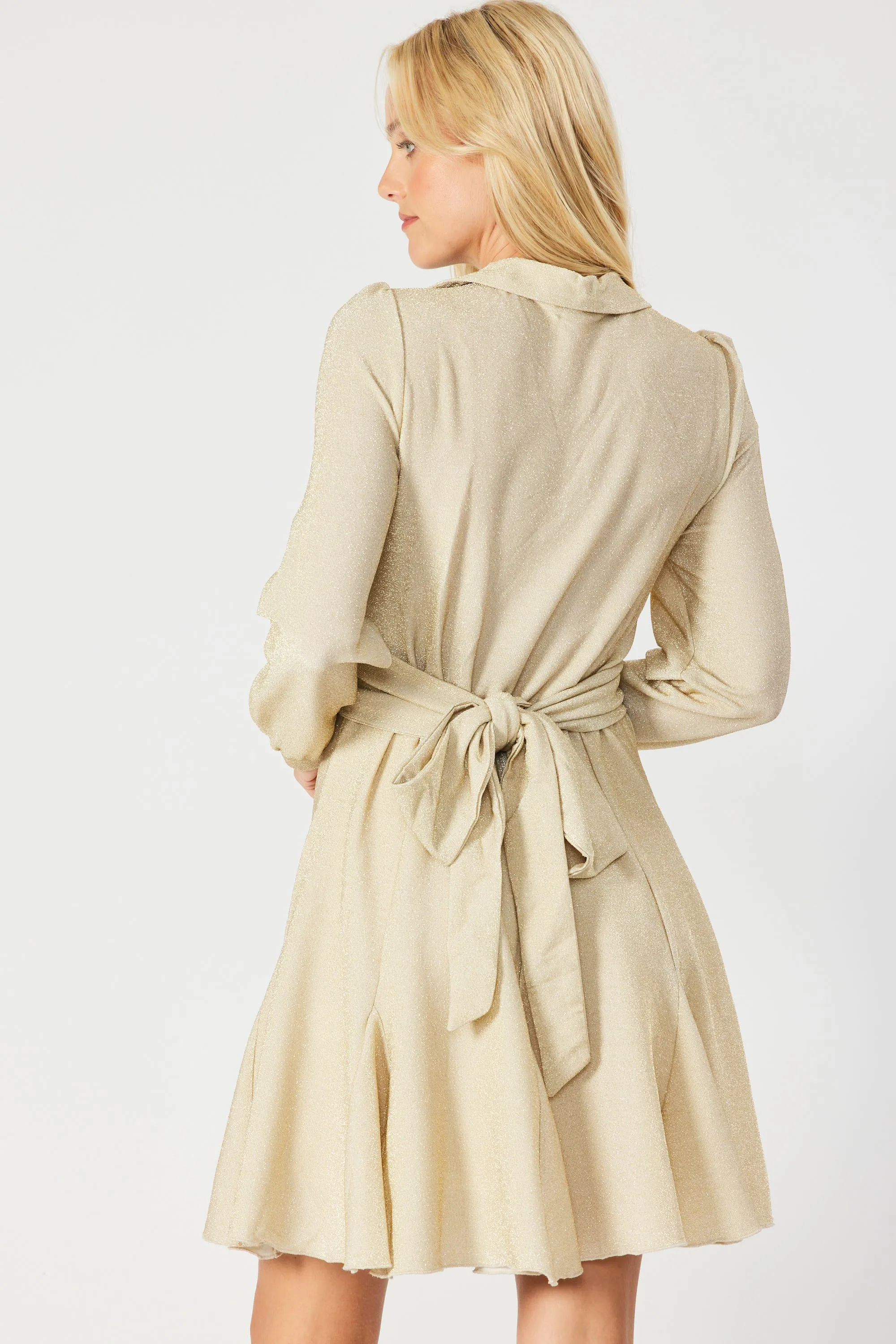 Champagne Wrap Around V Neck Skater Dress sold by Pinkblush product image thumbnail 3