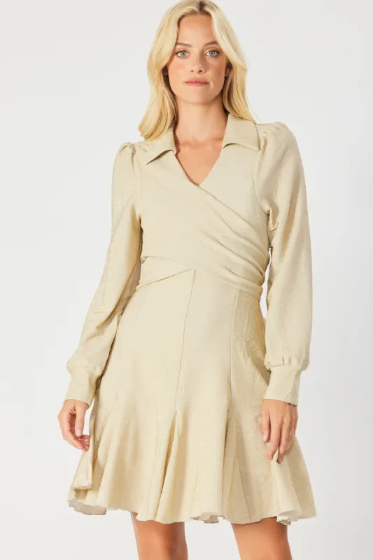 Champagne Wrap Around V Neck Skater Dress sold by Pinkblush