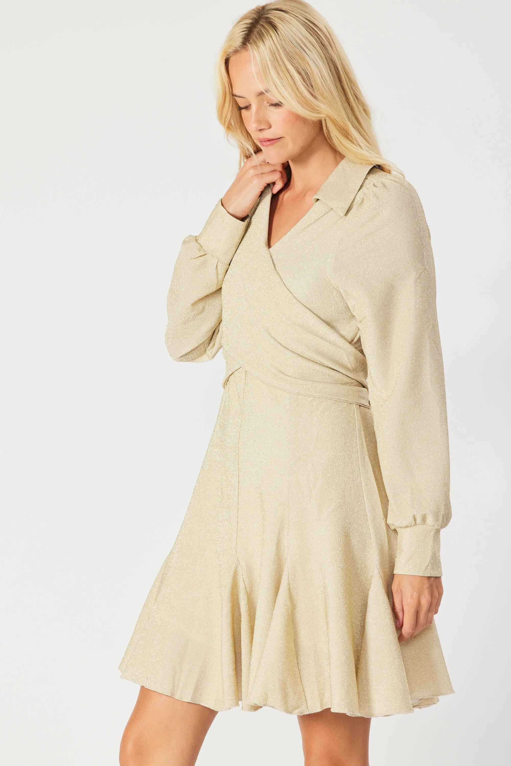 Champagne Wrap Around V Neck Skater Dress sold by Pinkblush product image thumbnail 2