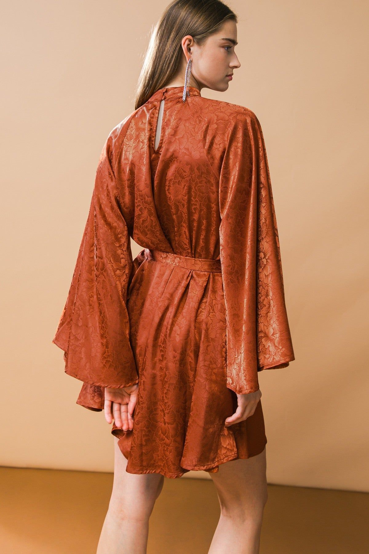 Brown Sash Tie Mini Dress sold by Pinkblush product image thumbnail 4