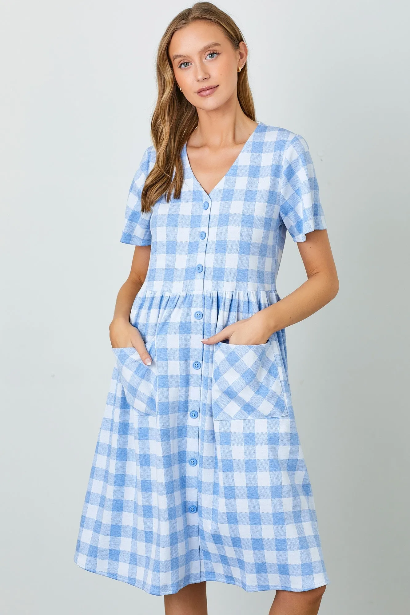 Blue Multi Gingham Button Front Dress sold by Pinkblush product image thumbnail 2