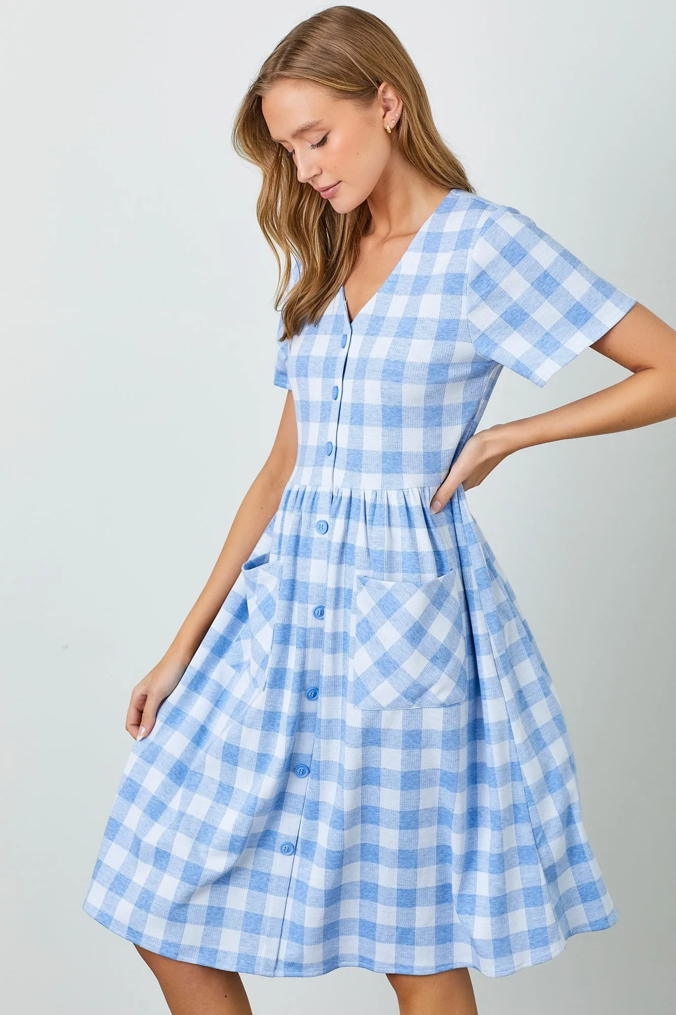 Blue Multi Gingham Button Front Dress sold by Pinkblush product image thumbnail 3