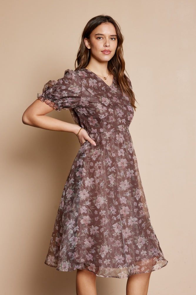 Brown Printed Organza Dress sold by Pinkblush product image thumbnail 3