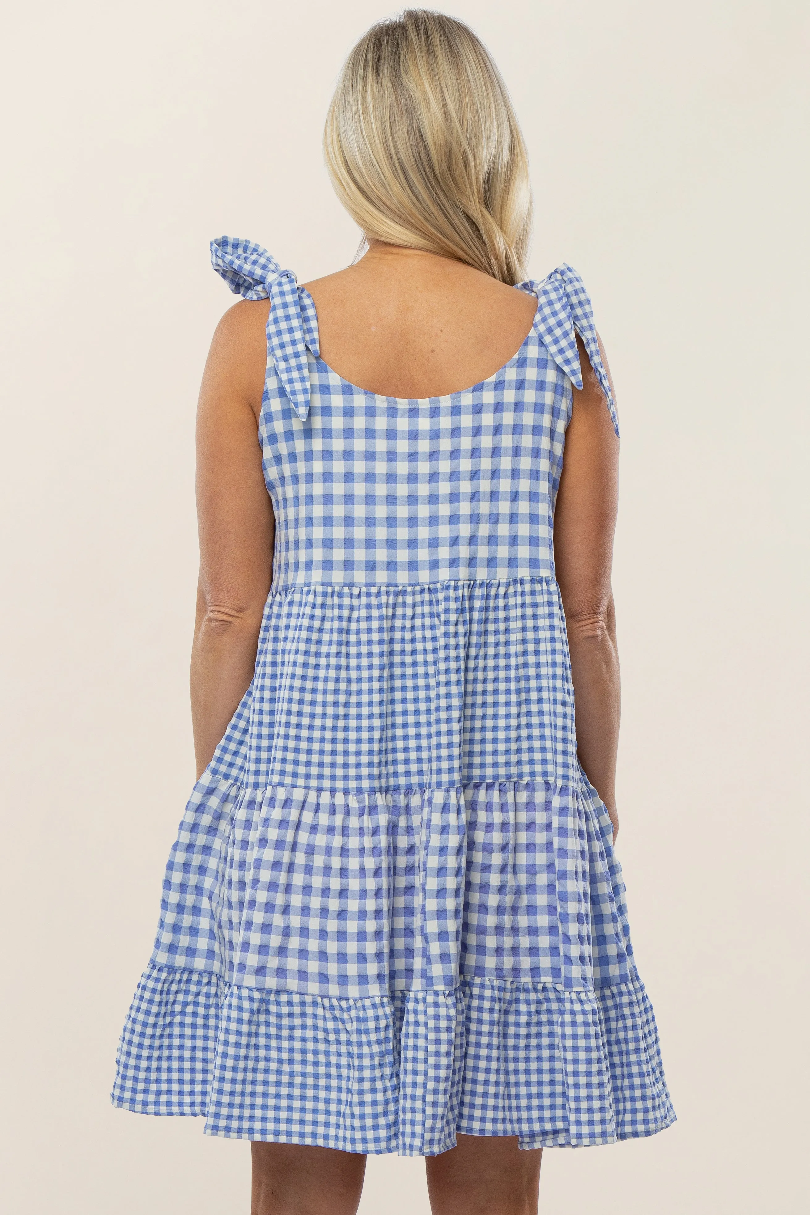 Blue Gingham Tiered Maternity Dress sold by Pinkblush product image thumbnail 3
