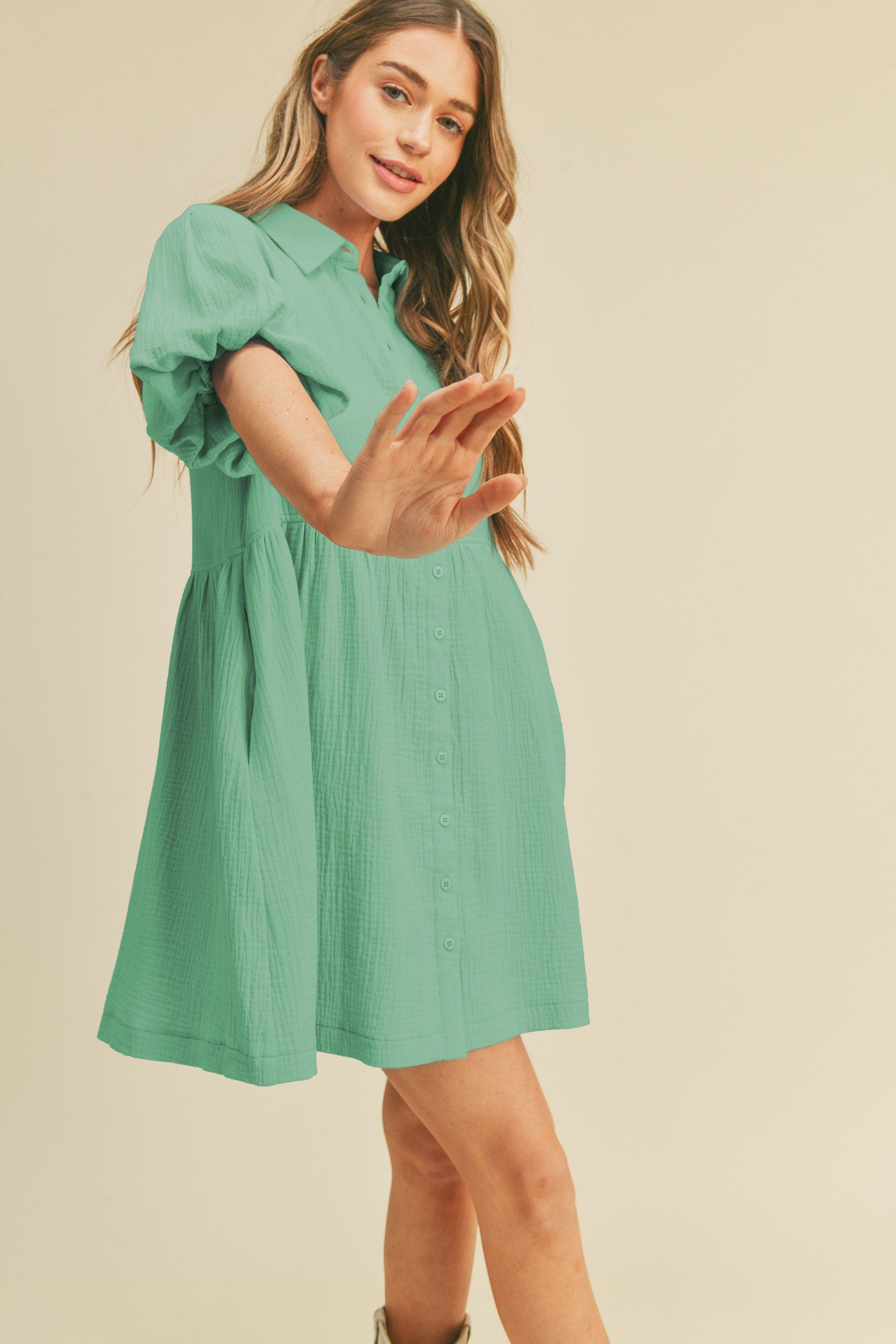 Minty Collared Button Up Dress sold by Pinkblush product image thumbnail 2