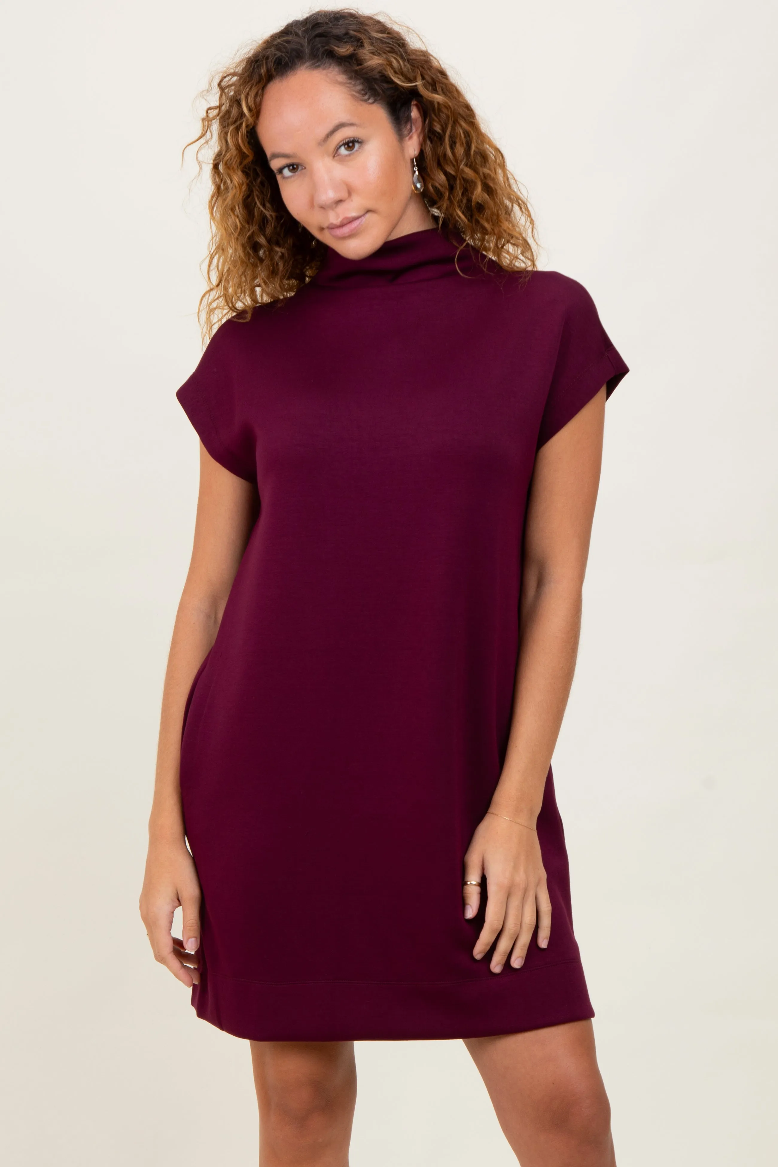 Plum Mock Neck Maternity Mini Dress sold by Pinkblush product image thumbnail 4