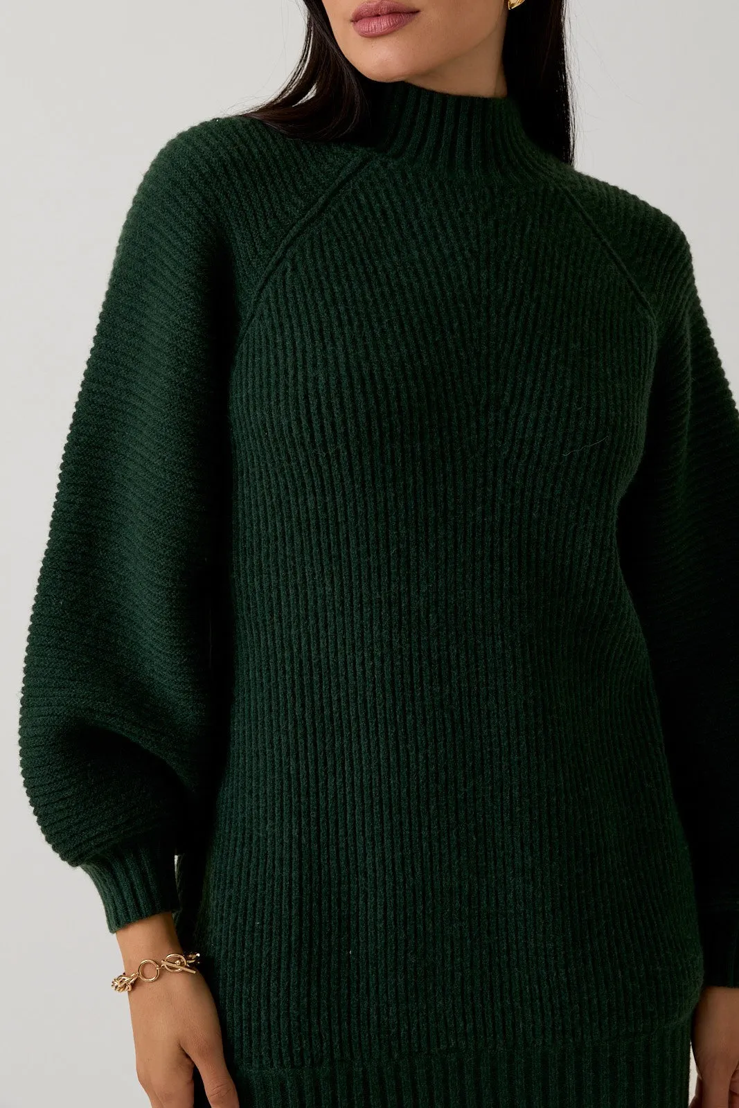 Hunter Green Mock Neck Cozy Sweater Dress sold by Pinkblush product image thumbnail 4