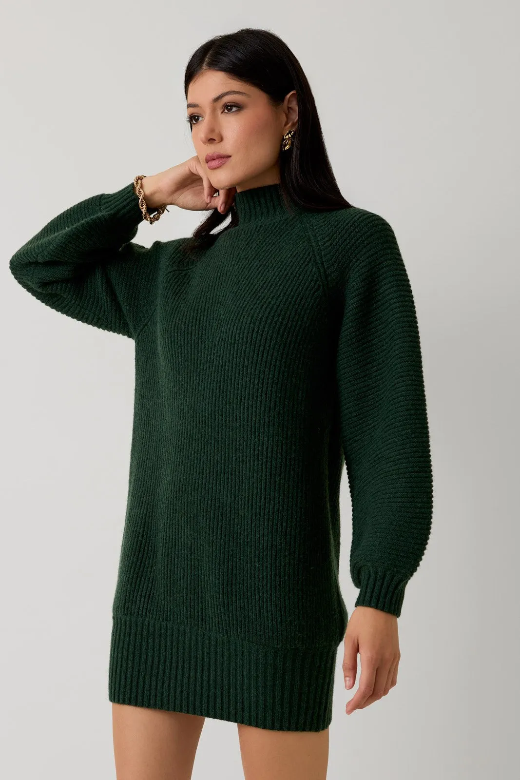 Hunter Green Mock Neck Cozy Maternity Sweater Dress sold by Pinkblush product image thumbnail 4