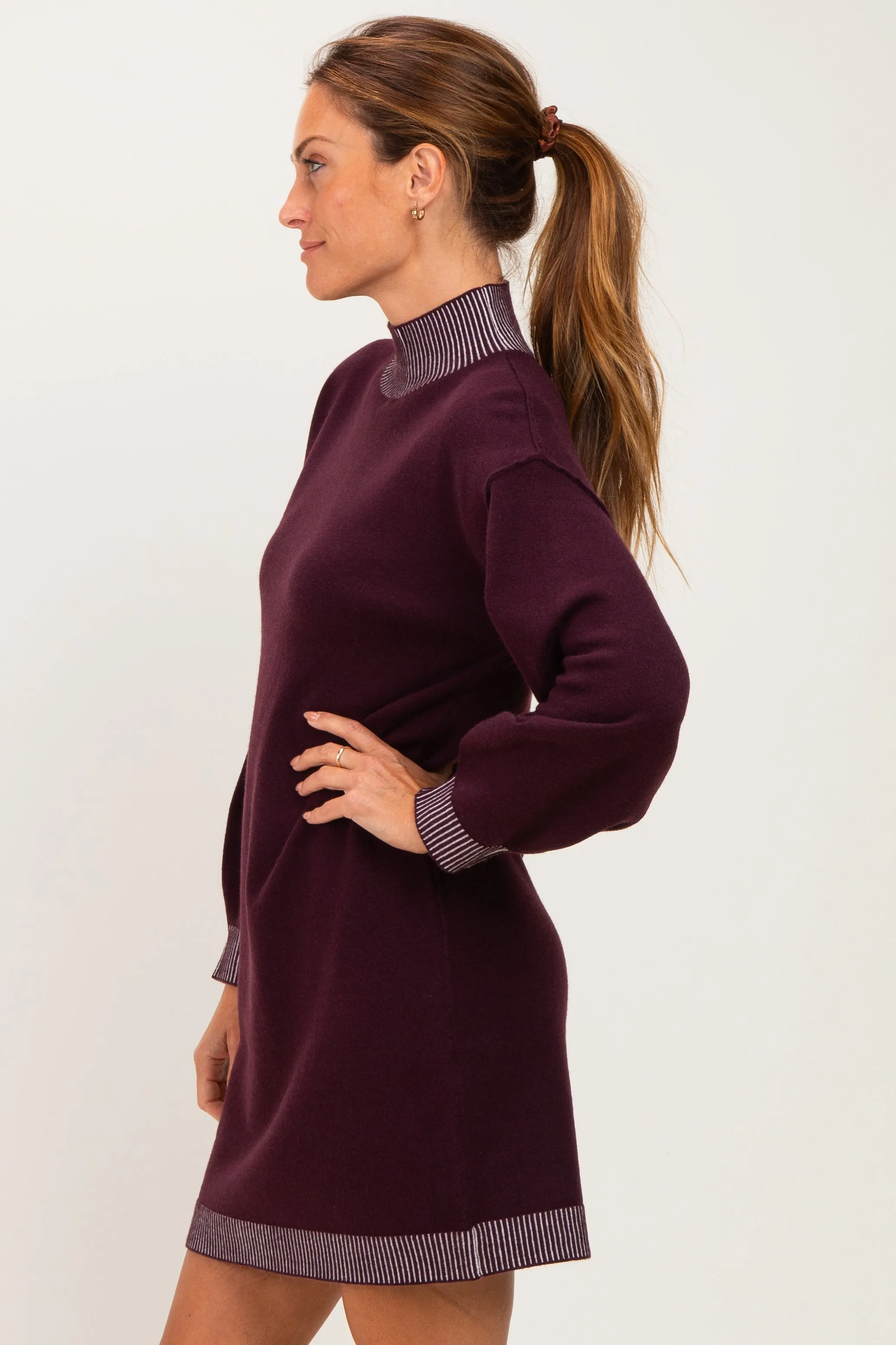 Plum Contrast Mock Neck Sweater Dress sold by Pinkblush product image thumbnail 3