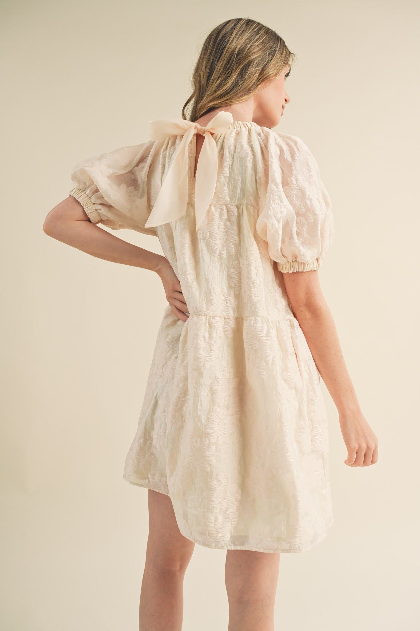 Cream Organza Jacquard Babydoll Dress sold by Pinkblush product image thumbnail 3