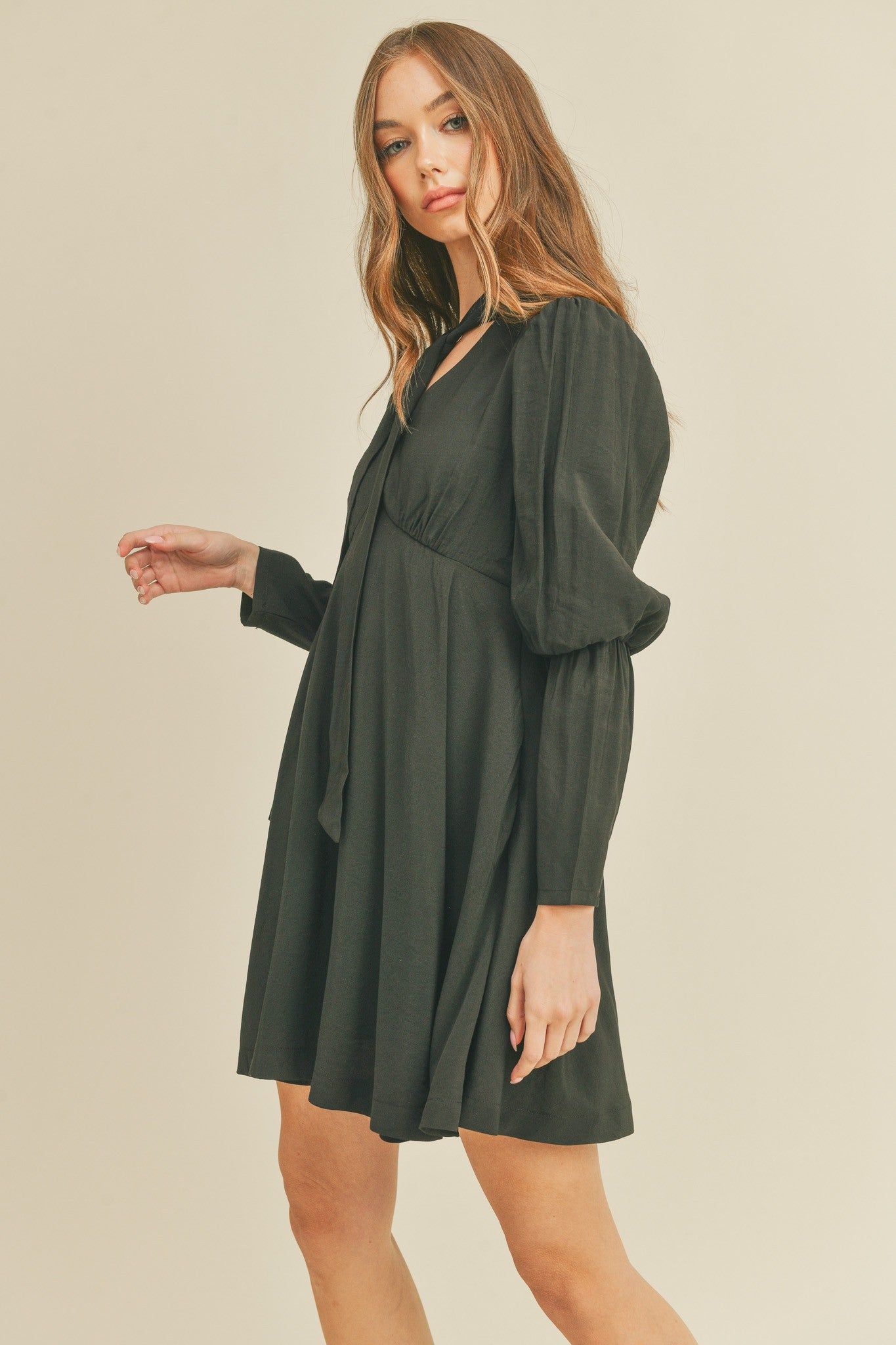 Black Tie Neck Mini Dress sold by Pinkblush product image thumbnail 2