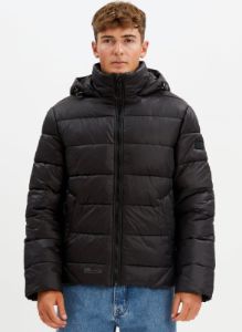 EDDISION| Midweight Puffer Jacket ||EDDISION| Doudoune d'épaisseur moyenne sold by Point Zero