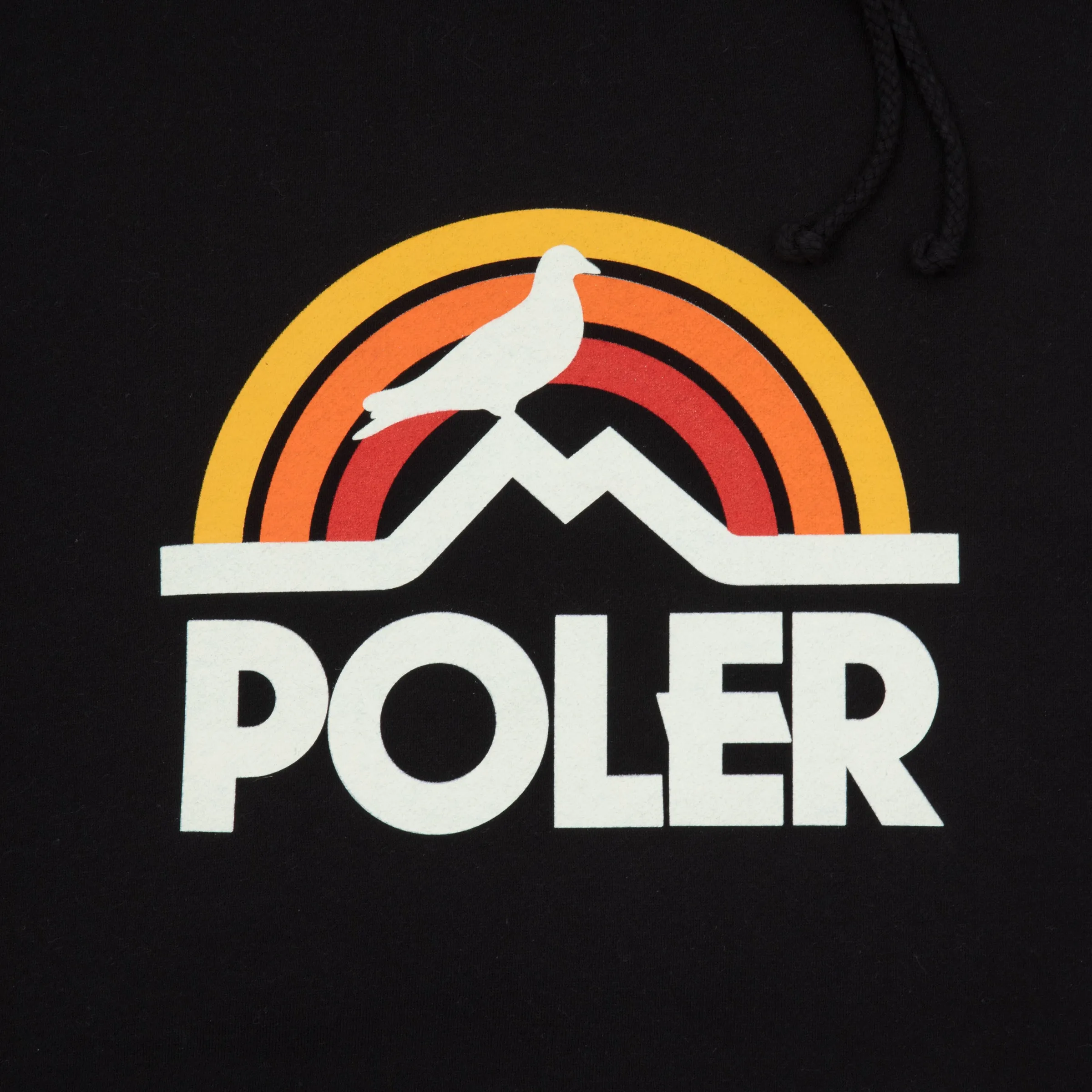 STAPLE x Poler Pigeon Rainbow Hoodie sold by Poler product image thumbnail 3