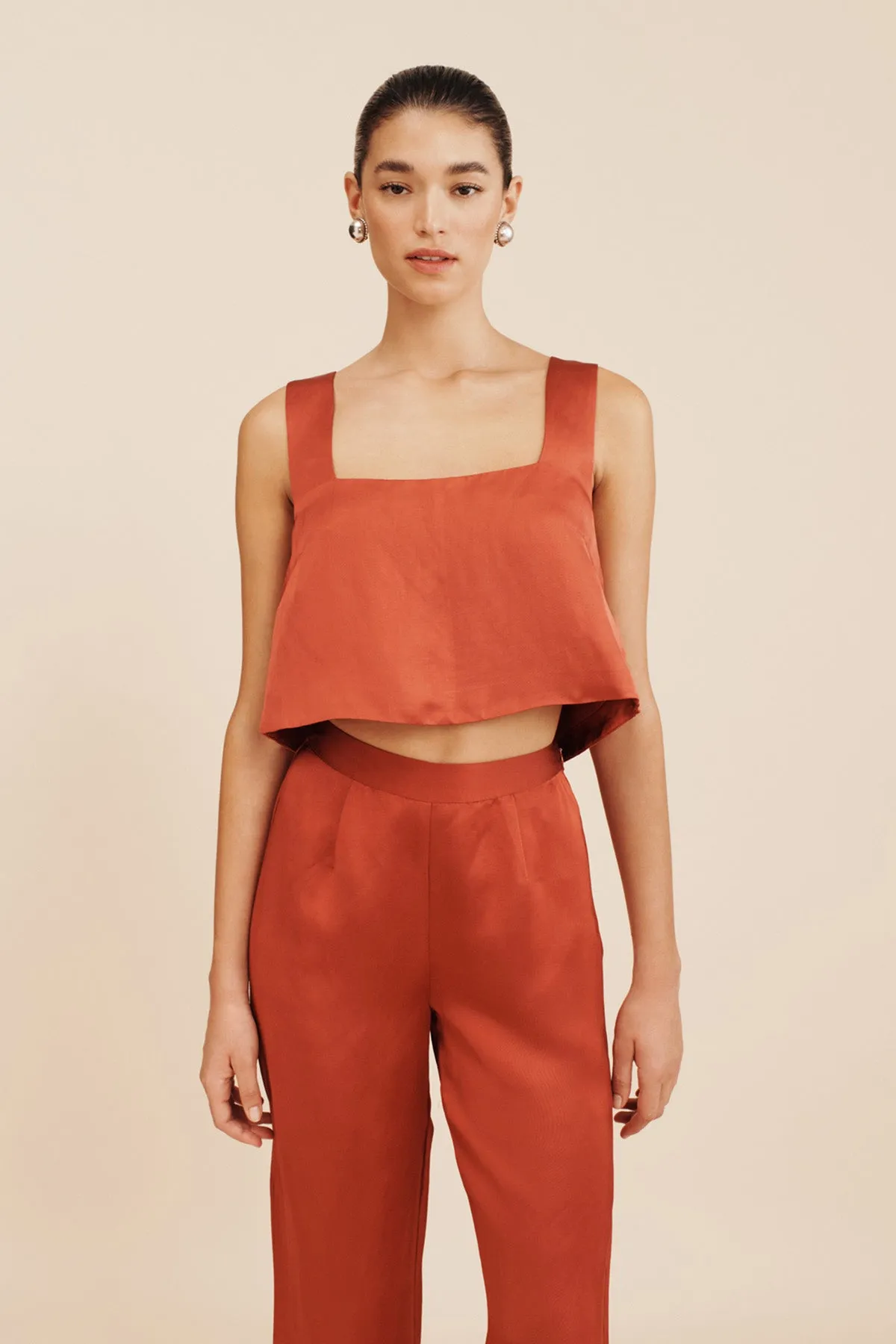 GIGI CROP TOP - REDWOOD sold by Posse