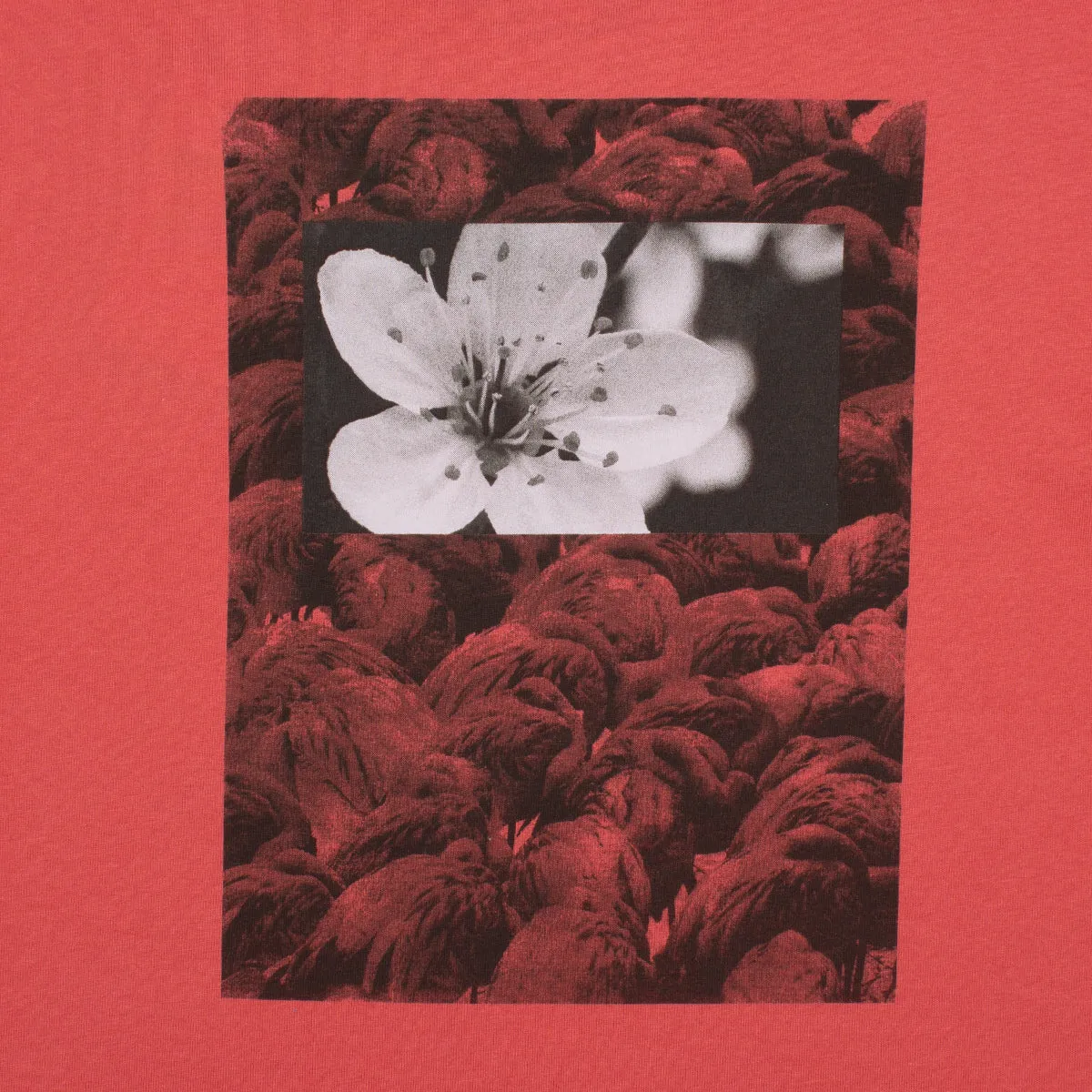 Natural Borders T-Shirt sold by Premier product image thumbnail 5