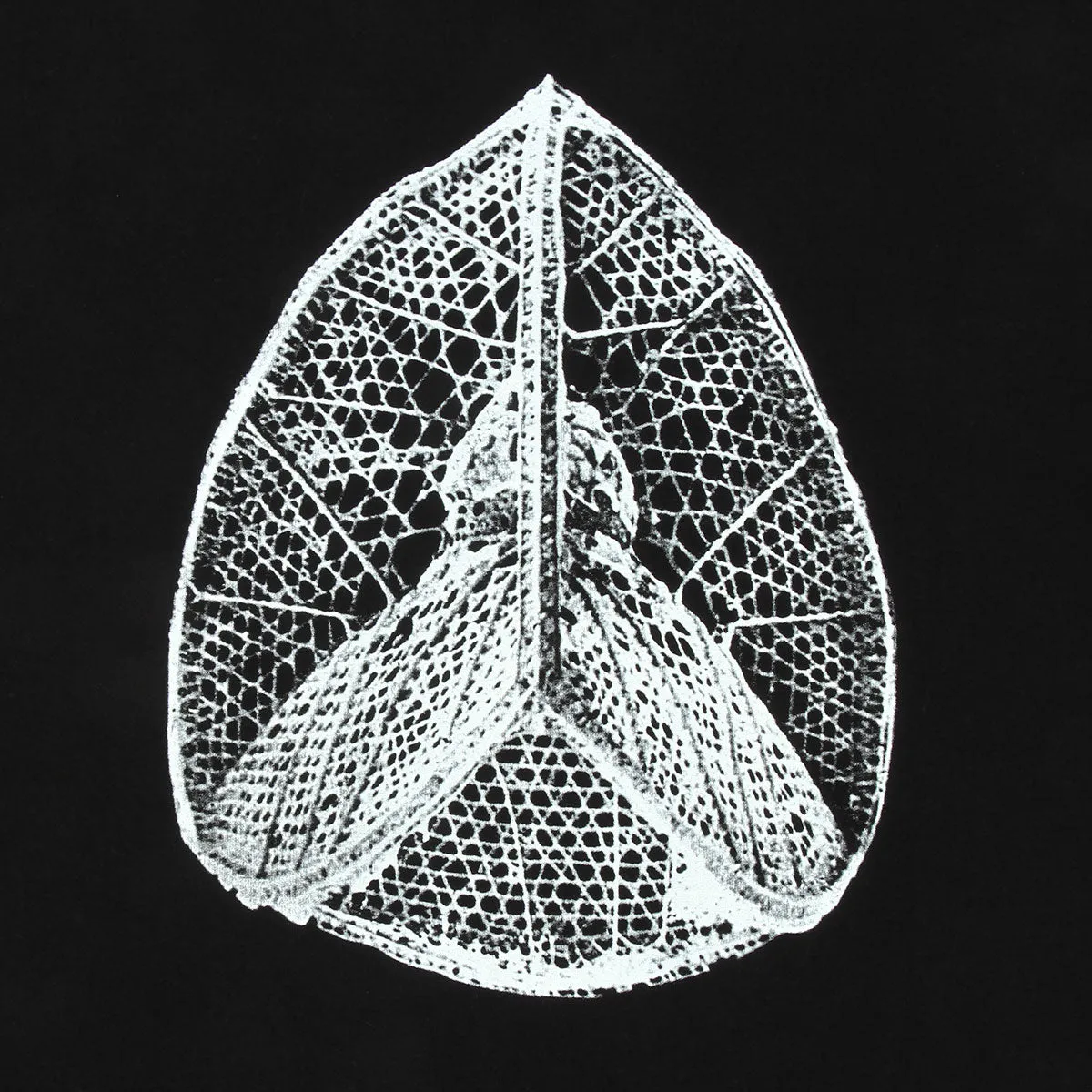 Structural Order T-Shirt sold by Premier product image thumbnail 4