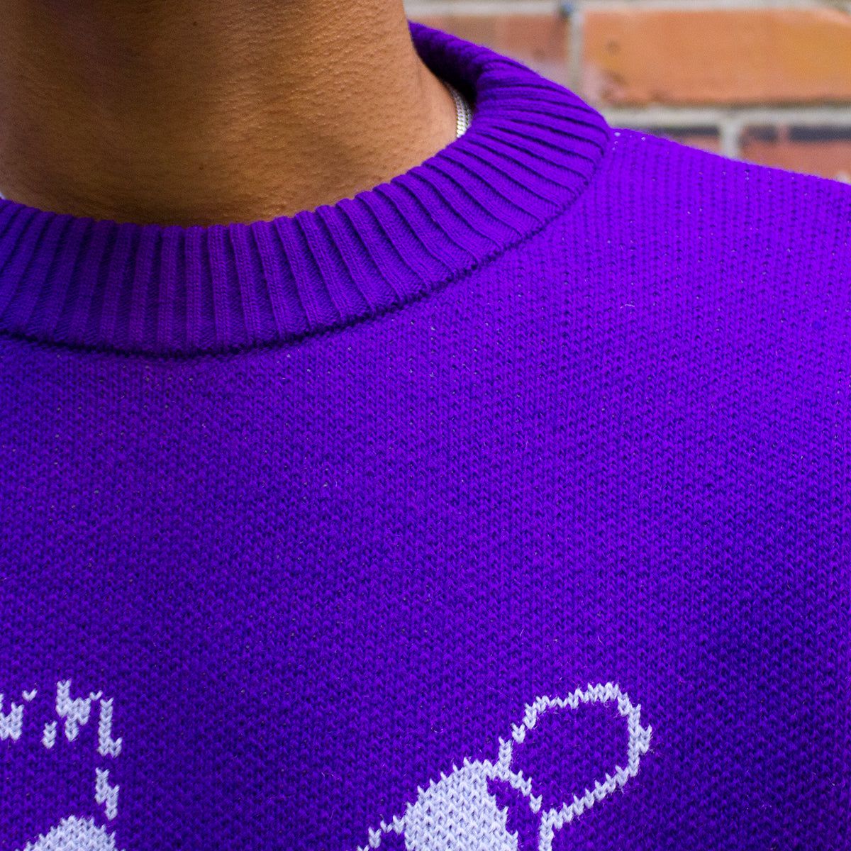 Skate Dude Knit Sweater sold by Premier product image thumbnail 5