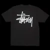 Basic Stussy Pigment Dyed T-Shirt sold by Premier