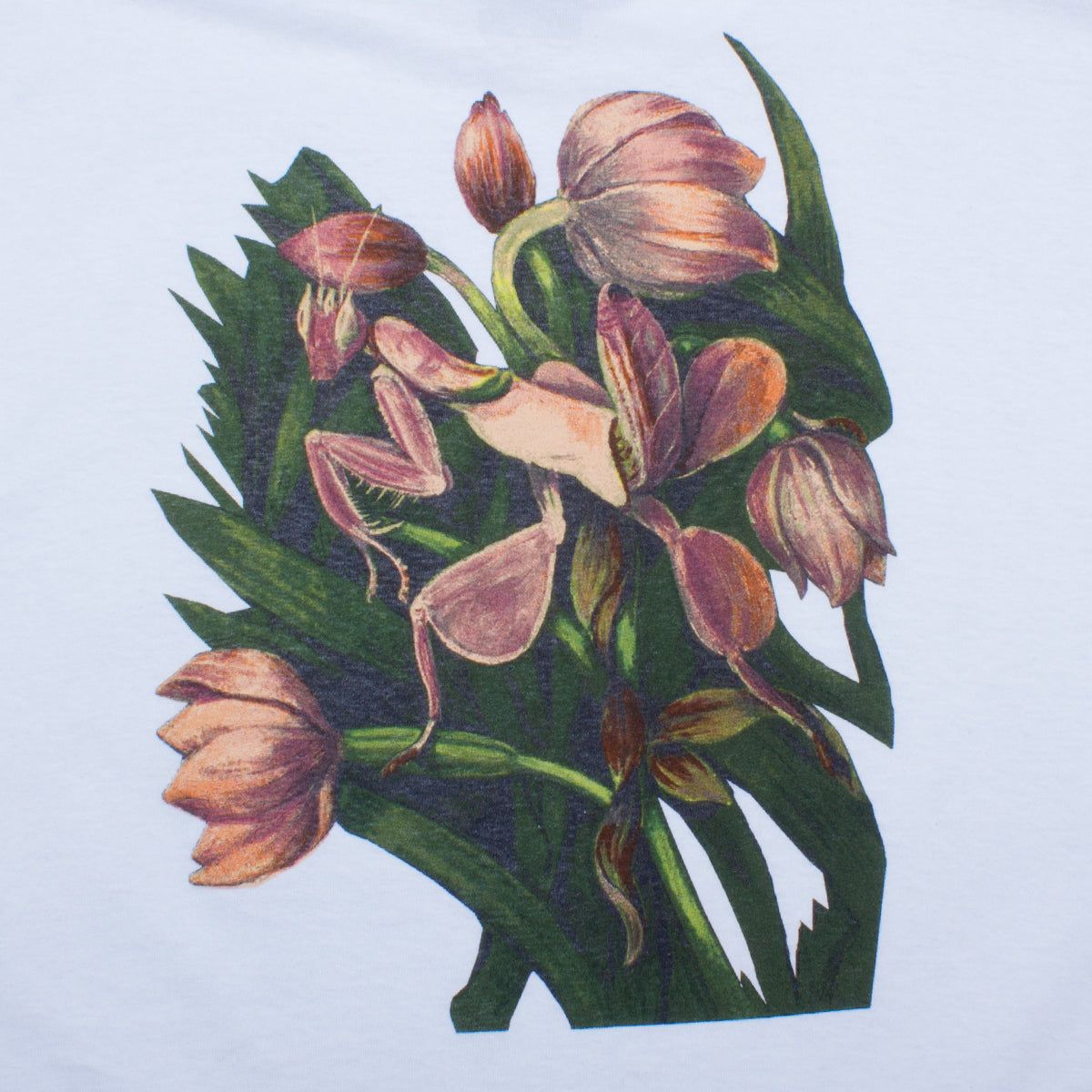 Flora T-Shirt sold by Premier product image thumbnail 4