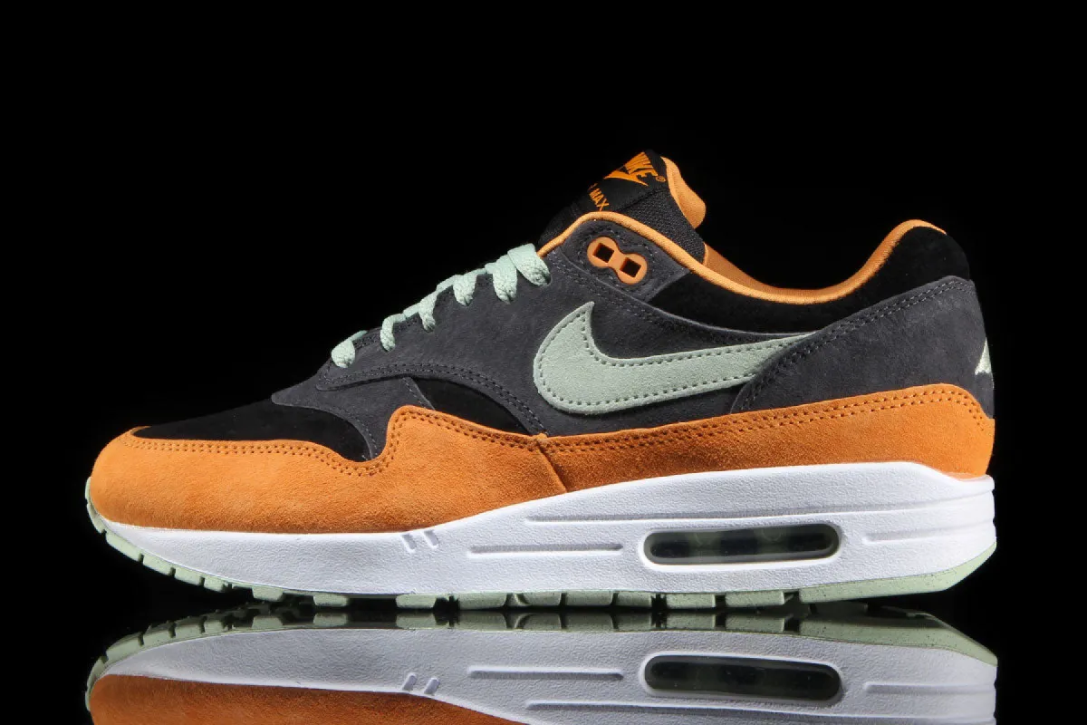 Air Max 1 Premium 'Ugly Duckling' sold by Premier