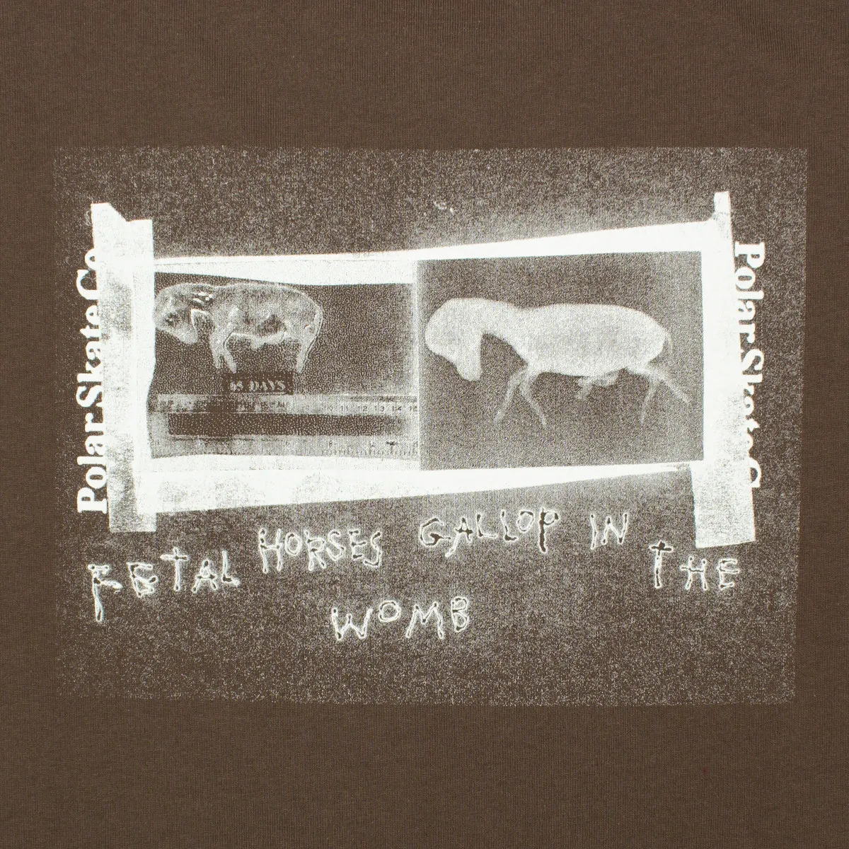 Beautiful Horses T-Shirt sold by Premier product image thumbnail 4
