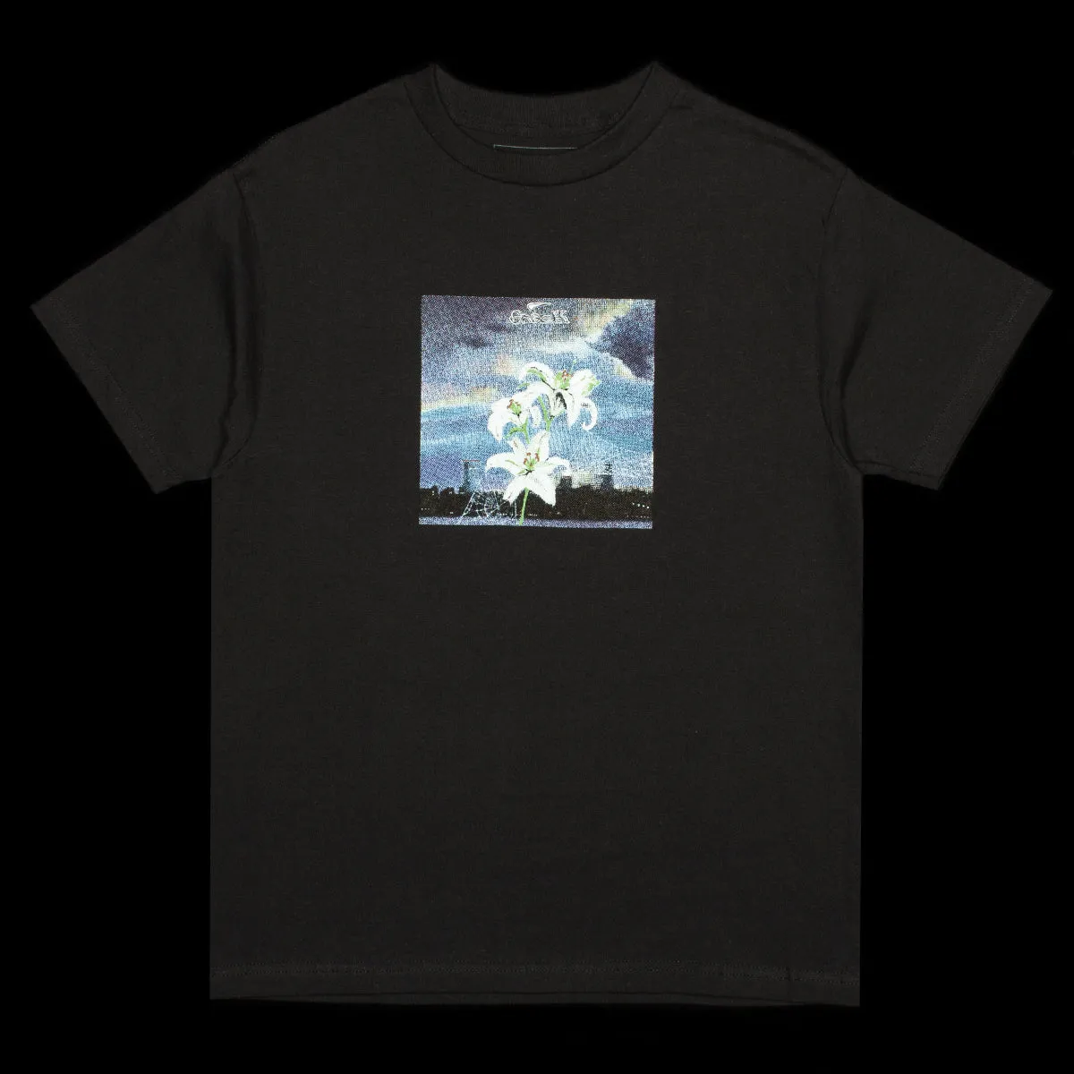 Web T-Shirt sold by Premier