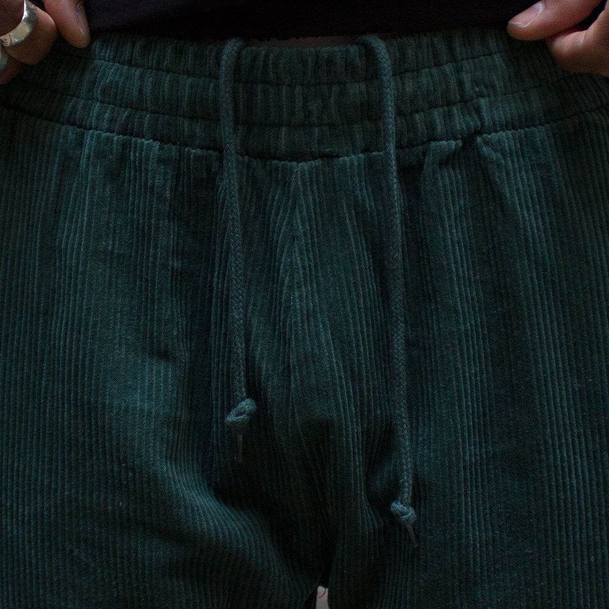 Eyes Cordoury Pants sold by Premier product image thumbnail 3