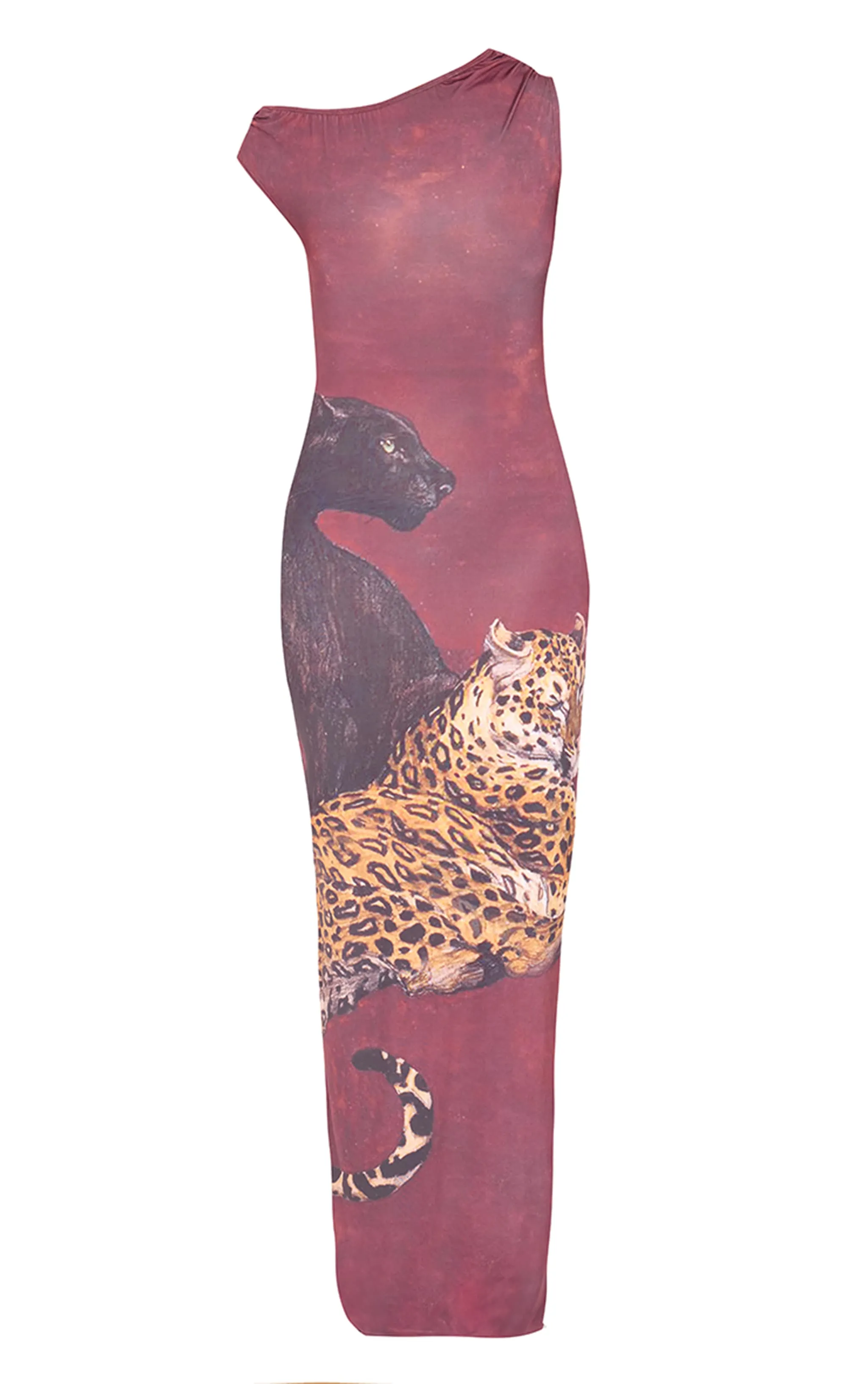 Tall Burgundy Animal Print Sleeveless Maxi Dress sold by Pretty Little Thing product image thumbnail 5
