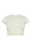 Sage Khaki Cotton Short Sleeve Crop Top sold by Pretty Little Thing