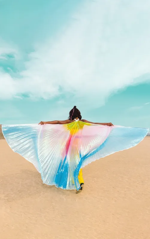 Rainbow Metallic Wings sold by Pretty Little Thing