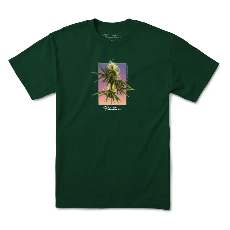HOMEGROWN TEE sold by Primitive